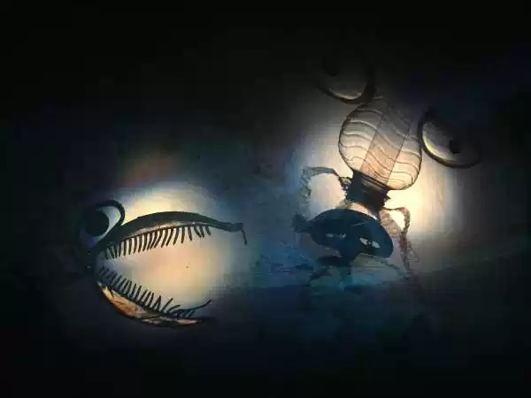 2022中荷联合力制儿童光影音乐剧场《Ring-Ring“环”游历险记》-武汉站 2022中荷联合力制儿童光影音乐剧场《Ring-Ring“环”游历险记》-武汉站