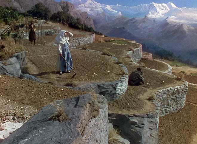 《黑水仙》：色彩与音响的极致运用