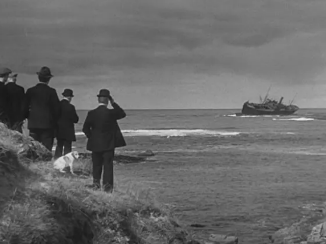 《荒岛酒池》:经典喜剧电影 《荒岛酒池》:经典喜剧电影