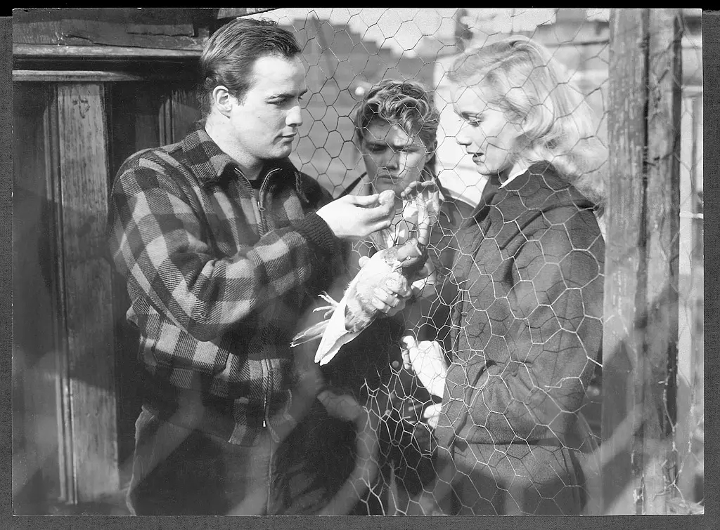 美国现实主义影片的代表作品：《码头风云》