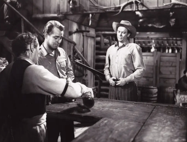 《原野奇侠》:西部片中的“另类” 《原野奇侠》:西部片中的“另类”