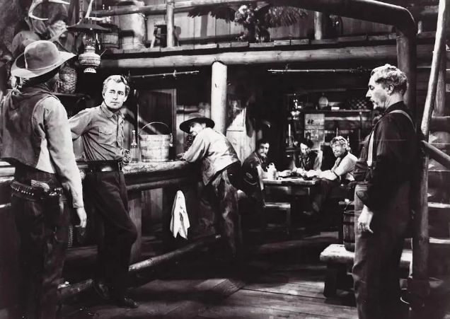 《原野奇侠》:西部片中的“另类” 《原野奇侠》:西部片中的“另类”