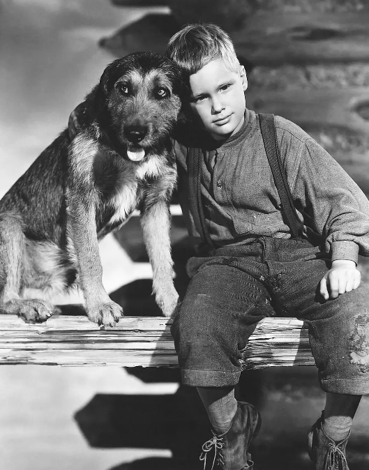 《原野奇侠》:西部片中的“另类” 《原野奇侠》:西部片中的“另类”