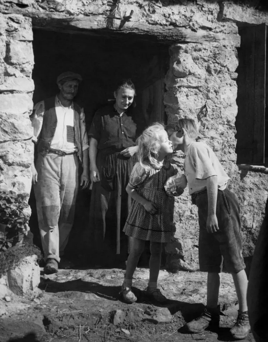 《禁忌的游戏》：被镜头美化的悲剧