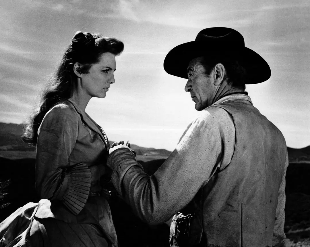 一部充分展现安东尼.曼杰出导演能力的电影：《西部人》