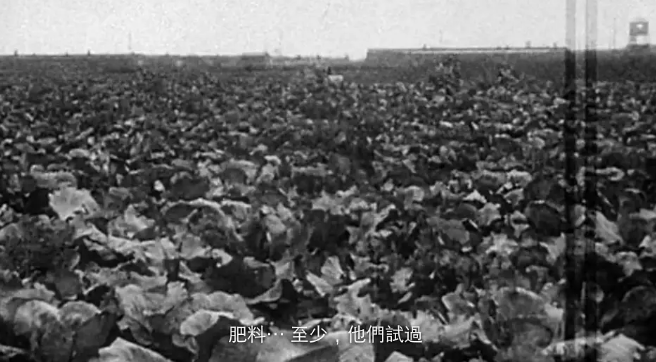 《夜与雾》：黑白与彩色交错构建梦境