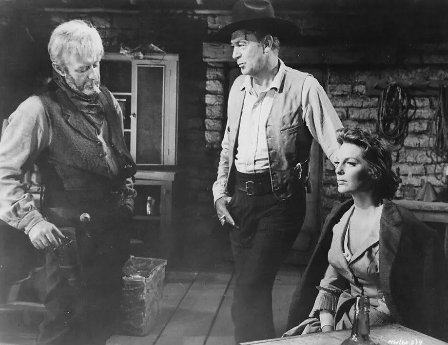 一部充分展现安东尼.曼杰出导演能力的电影：《西部人》