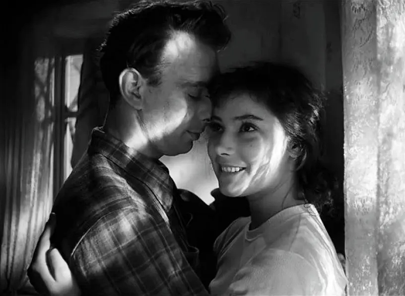 一对热恋中男女的悲情故事:《雁南飞》 一对热恋中男女的悲情故事:《雁南飞》