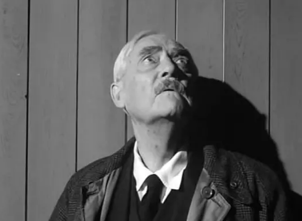 《野草莓》:伯格曼的艺术巅峰之作 《野草莓》:伯格曼的艺术巅峰之作