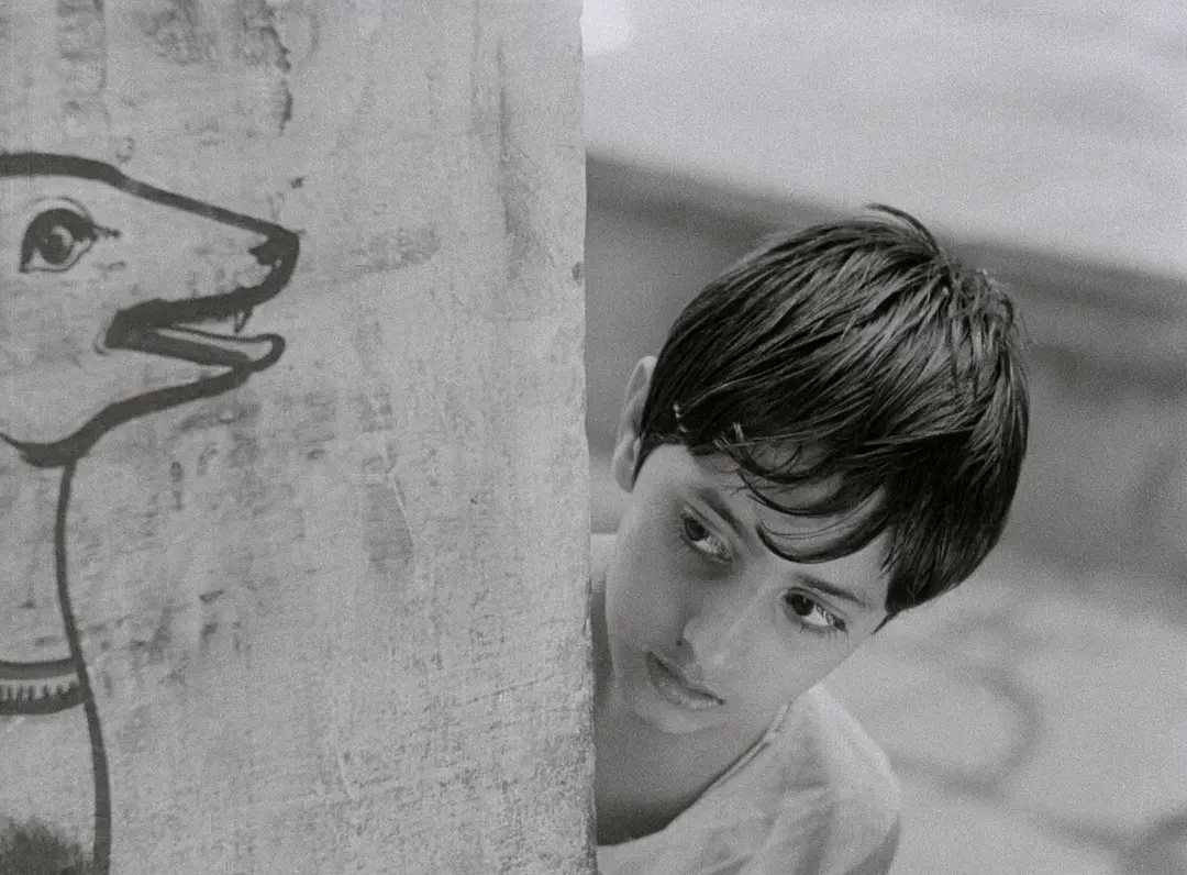 悲凉残酷的生活变迁：《大河之歌》