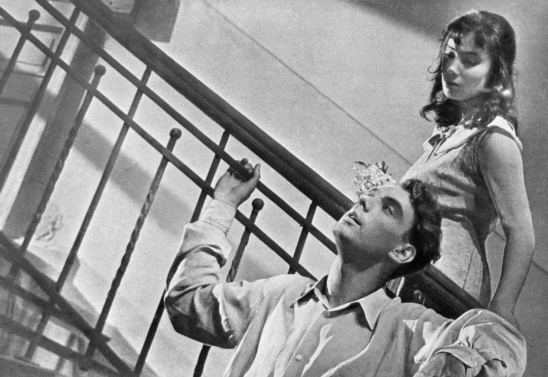 一对热恋中男女的悲情故事:《雁南飞》 一对热恋中男女的悲情故事:《雁南飞》