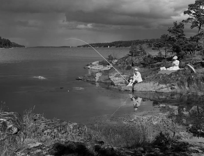 《野草莓》:伯格曼的艺术巅峰之作 《野草莓》:伯格曼的艺术巅峰之作