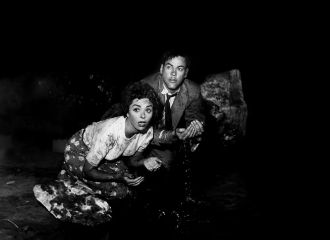 《天外魔花》：具有政治元素的恐怖科幻片