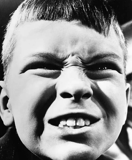 《艺术家和模特》：美国经典歌舞片之一