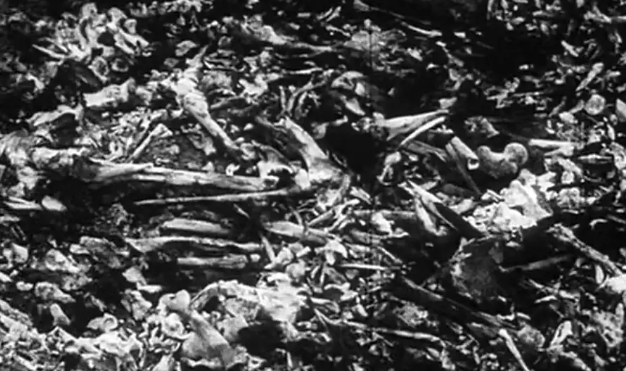 《夜与雾》：黑白与彩色交错构建梦境