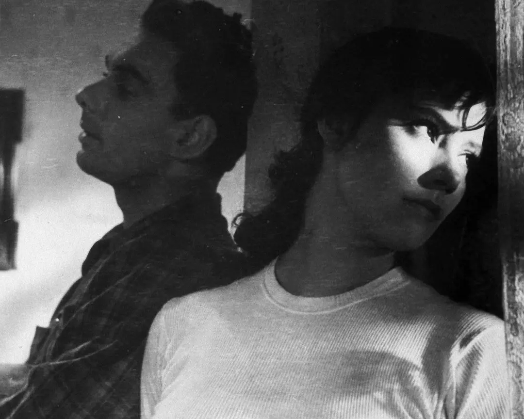 一对热恋中男女的悲情故事:《雁南飞》 一对热恋中男女的悲情故事:《雁南飞》