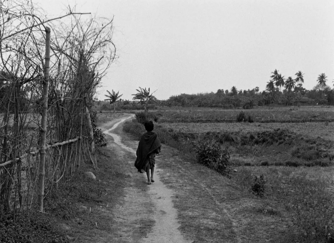 《大地之歌》:人物在悲剧里活出希望 《大地之歌》:人物在悲剧里活出希望