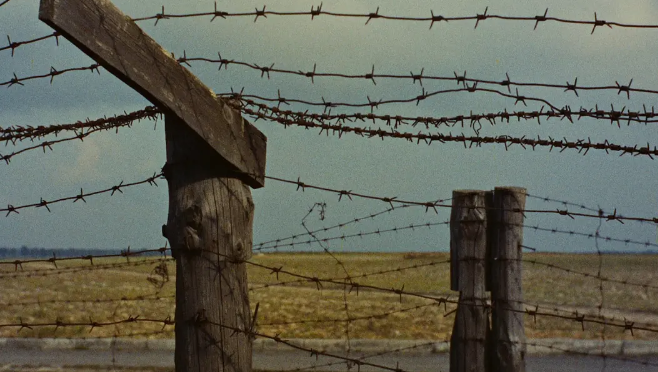 《夜与雾》：黑白与彩色交错构建梦境