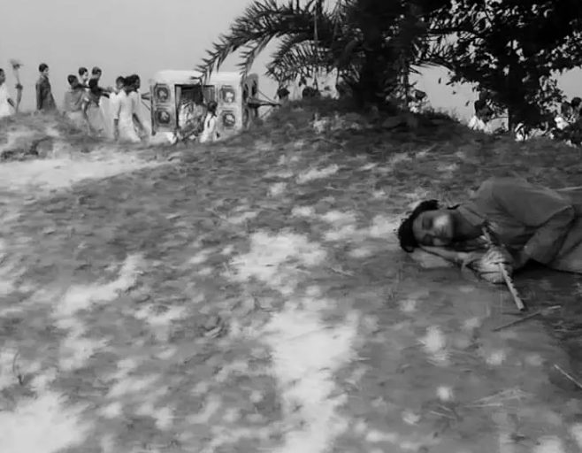 《大树之歌》：剧情即人生