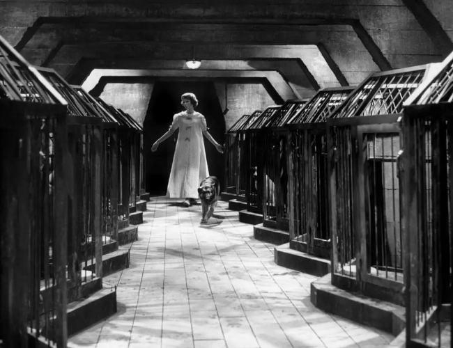 《没有脸的双眼》：用实验手法展现人间悲剧