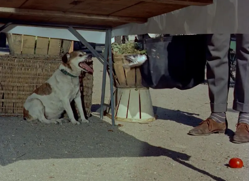 《我的舅舅》：现代主义的荒诞聚合