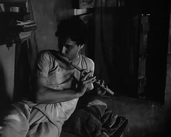 《大树之歌》：剧情即人生