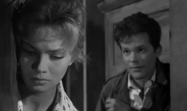 《钻石与灰烬》：瓦伊达战争三部曲之一