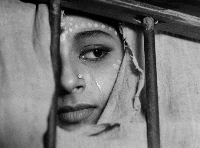 《大树之歌》：剧情即人生