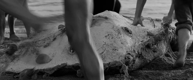 《甜蜜的生活》:心理现实主义的探索 《甜蜜的生活》:心理现实主义的探索