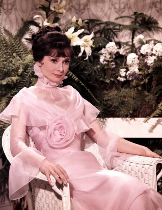 《窈窕淑女》：现代版灰姑娘的故事