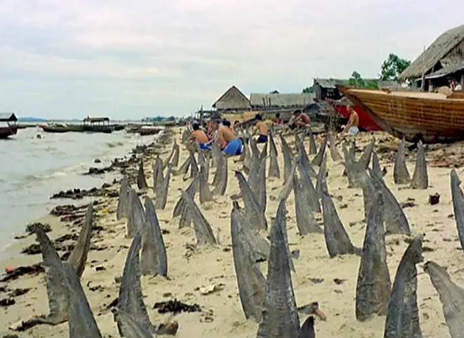 《世界残酷秘史》:猎奇类摆拍纪录片 《世界残酷秘史》:猎奇类摆拍纪录片