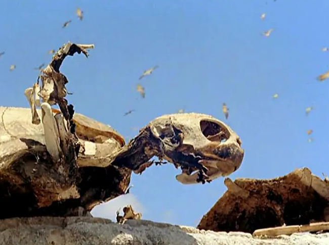 《世界残酷秘史》:猎奇类摆拍纪录片 《世界残酷秘史》:猎奇类摆拍纪录片