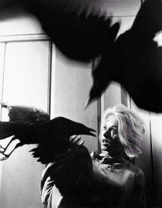 《群鸟》：用镜头制造悬疑色彩