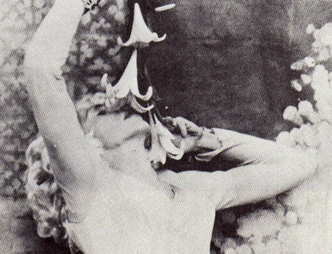 《热血造物》:糅合着欢乐与摧残的狂欢 《热血造物》:糅合着欢乐与摧残的狂欢