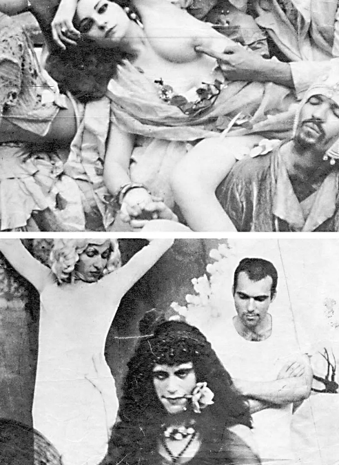 《热血造物》:糅合着欢乐与摧残的狂欢 《热血造物》:糅合着欢乐与摧残的狂欢