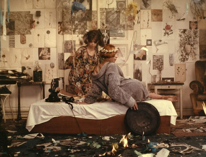 《雏菊》：独属于他们的破碎浪漫