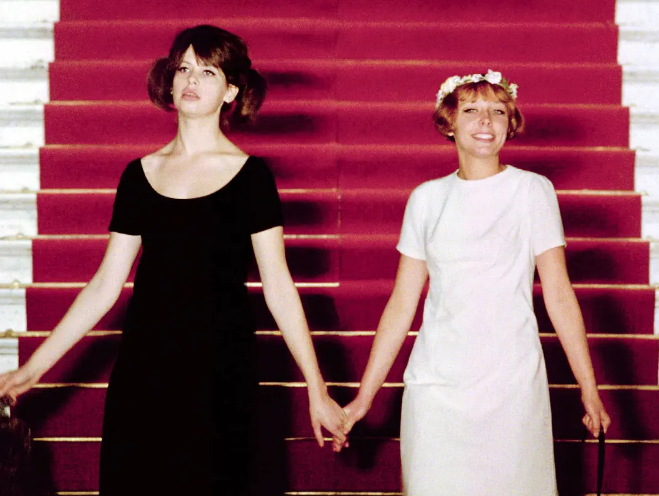 《雏菊》：独属于他们的破碎浪漫