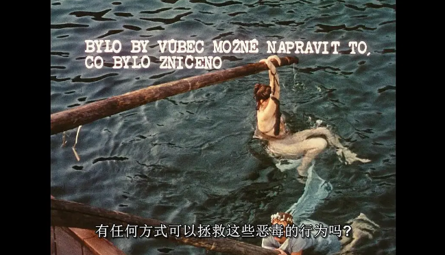 《雏菊》：独属于他们的破碎浪漫