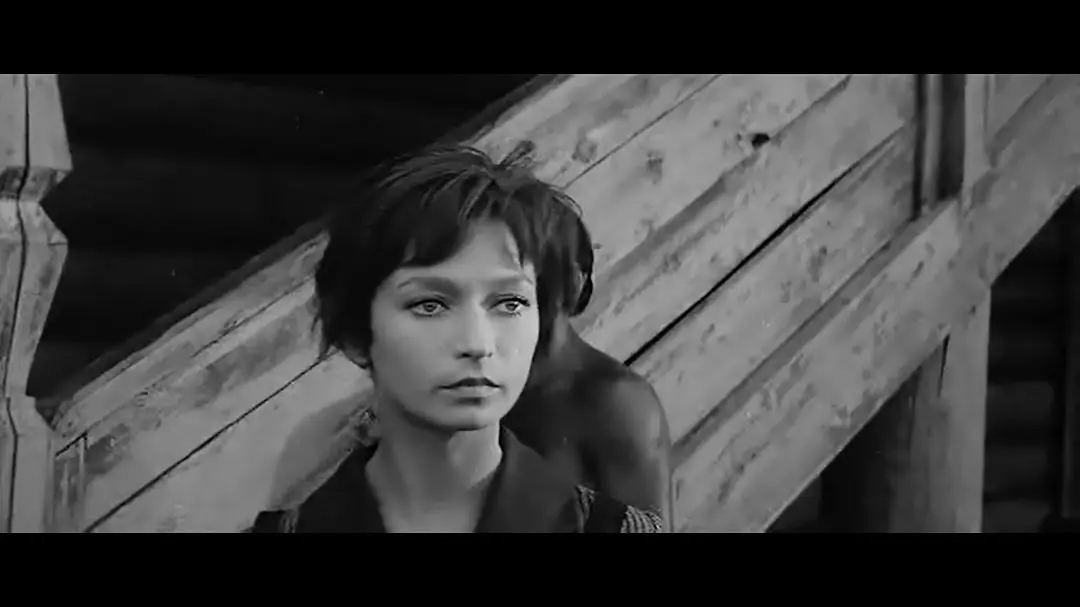 反应了战争的残酷和军人的风度的影片：《红军与白军》