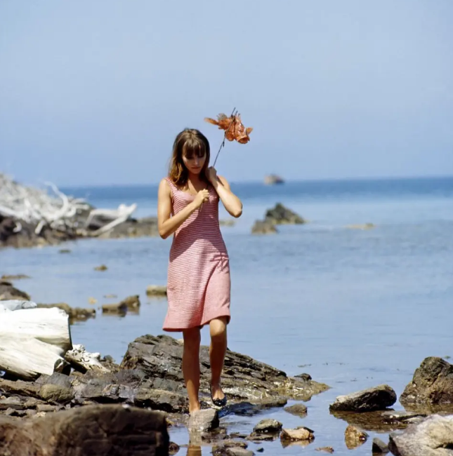 《狂人皮埃罗》：用电影表现艺术