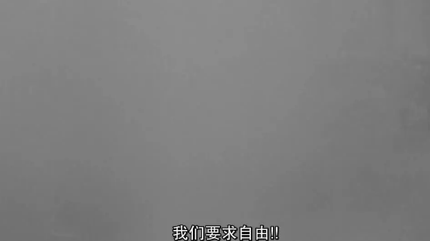 《阿尔及尔之战》:罩袍面纱下是反抗的炸弹 《阿尔及尔之战》:罩袍面纱下是反抗的炸弹