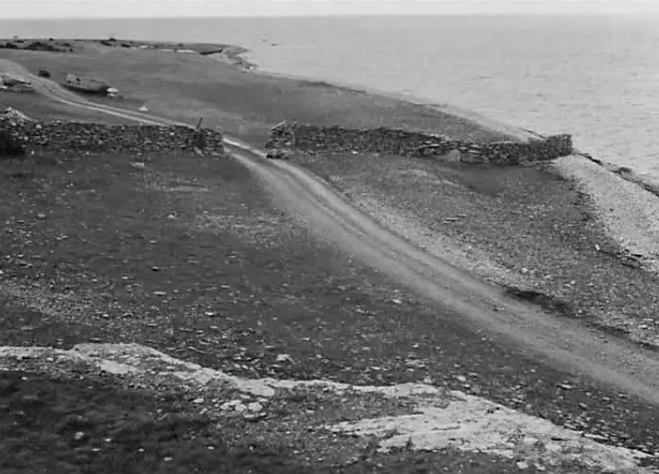 《羞耻》：愤怒而绝望的反战电影