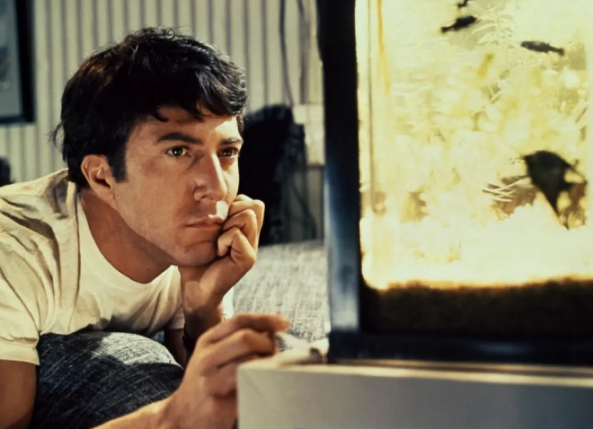 《毕业生》:好莱坞“反抗式”文化 《毕业生》:好莱坞“反抗式”文化