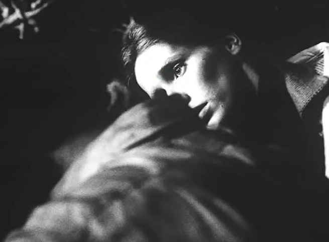 《豺狼时刻》：充满艺术气息的恐怖片