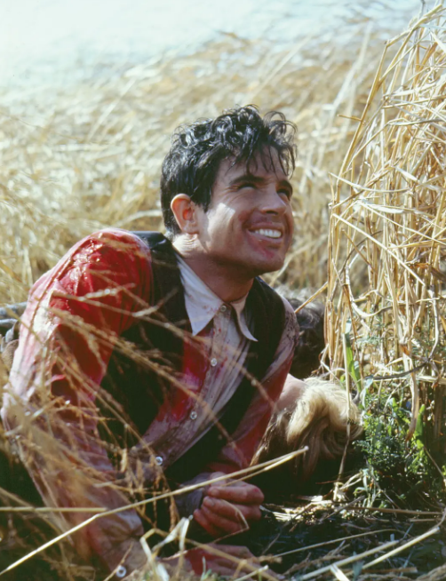 《邦妮和克莱德》:新好莱坞的开山之作 《邦妮和克莱德》:新好莱坞的开山之作