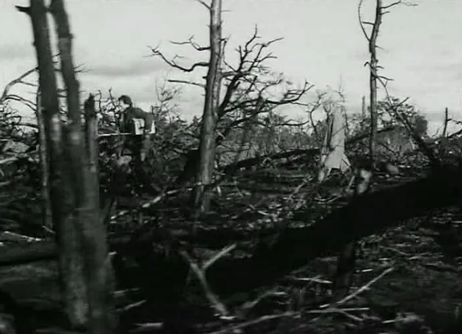 《羞耻》：愤怒而绝望的反战电影