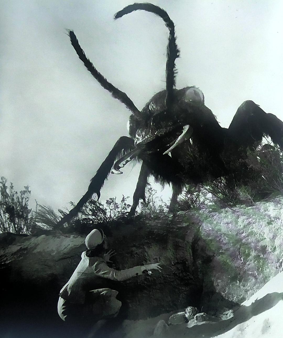 早期幻想题材的示范影片：《X射线》