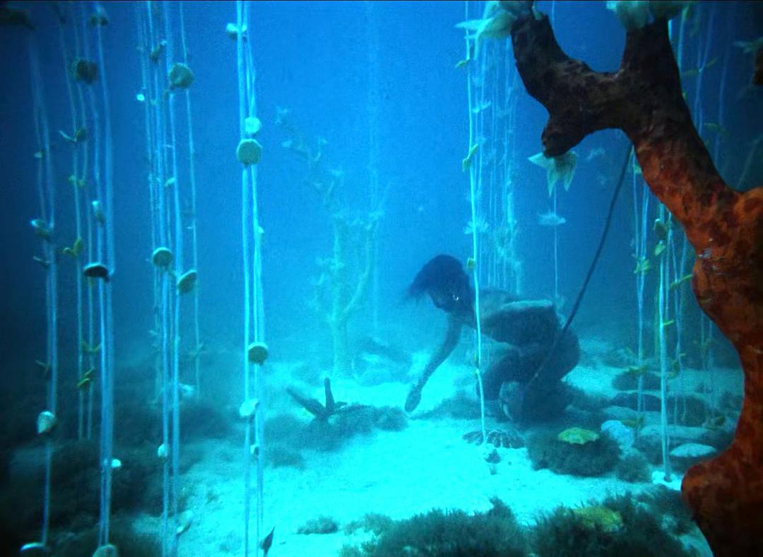 早期具有俄苏审美的科幻影片:《两栖人》 早期具有俄苏审美的科幻影片:《两栖人》