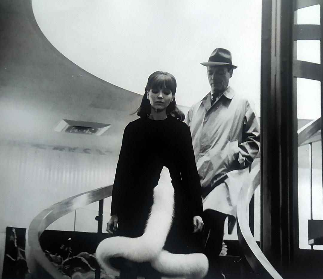 有关生存的逻辑流影片：《阿尔法城》