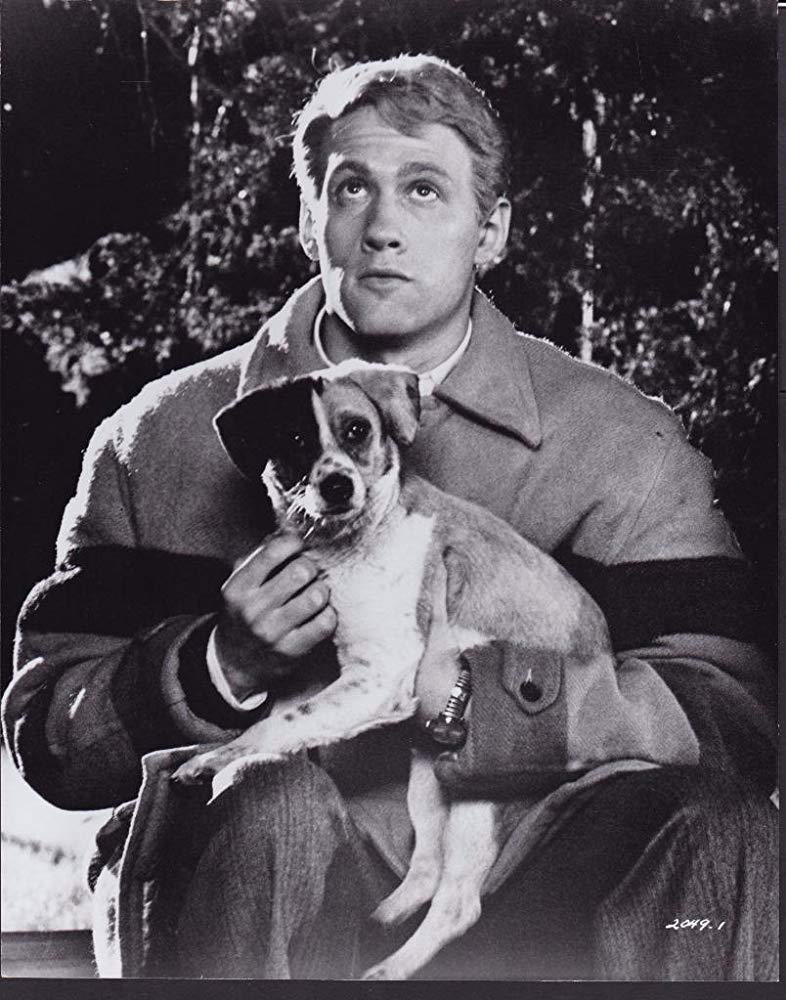 炫技式的科幻影片：《第五号屠宰场》